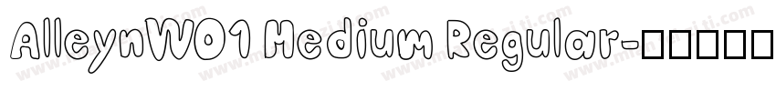 AlleynW01 Medium Regular字体转换